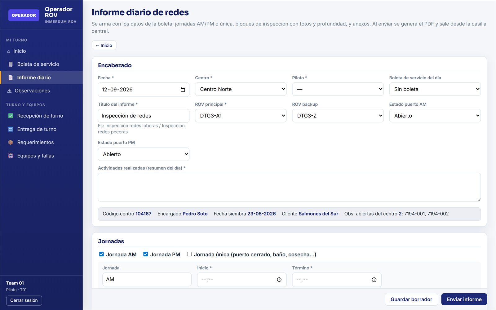 Formulario del informe diario de inspección de redes